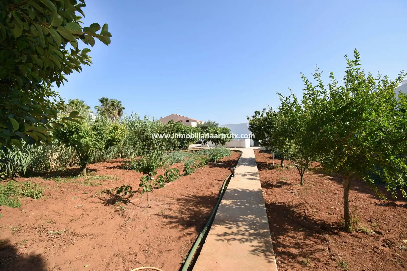 Jardí de Casa o xalet en venda en Ciutadella de Menorca amb Jardí privat, Terrassa i Traster