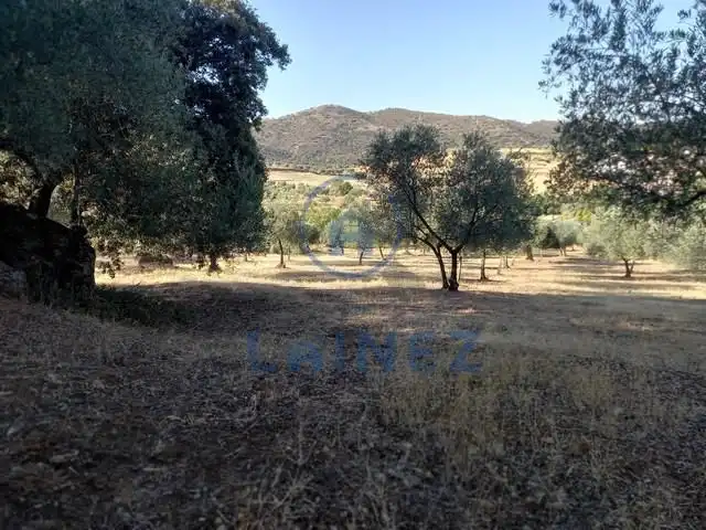 Terreny residencial en venda a Belmez, imagen 93