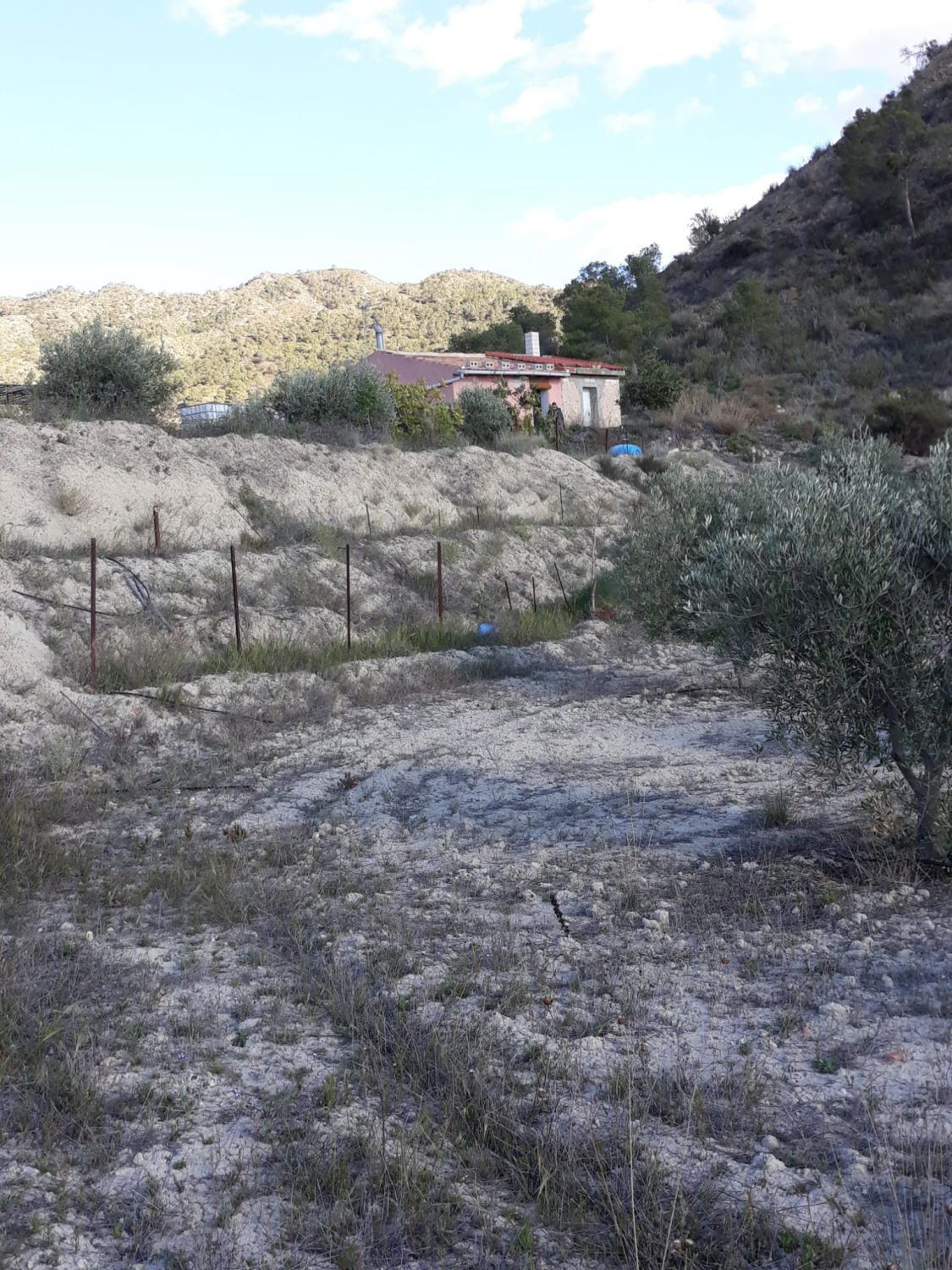 Country house zum verkauf in Abanilla