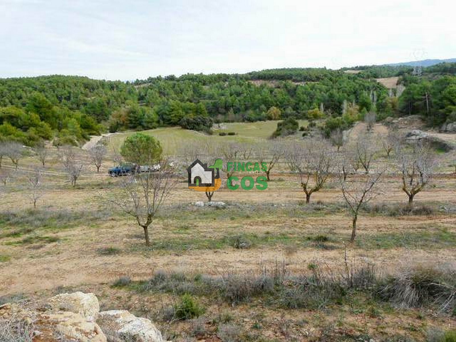 Land for sale in El Vilosell