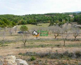 Land for sale in El Vilosell