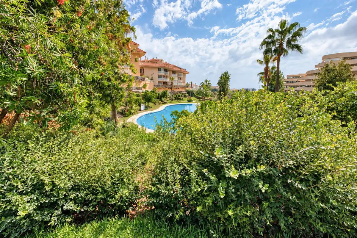 Apartamento con piscina en venta en El Higuerón, imagen 36