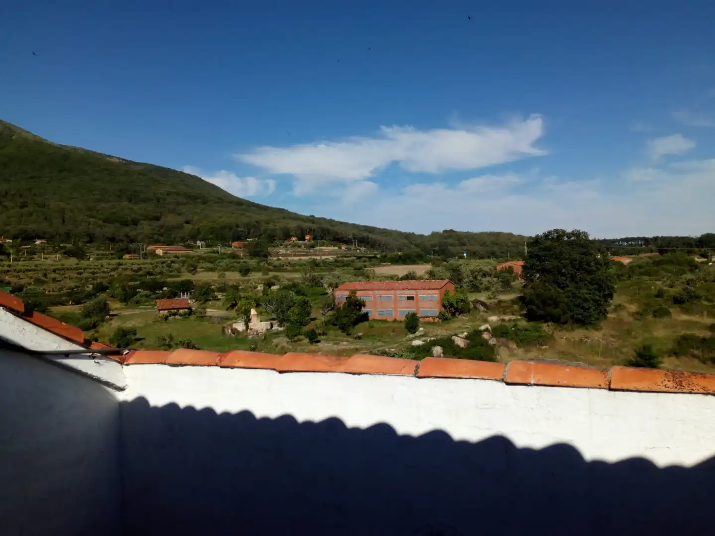 Garden of Attic for sale in Jarandilla de la Vera  with Furnished