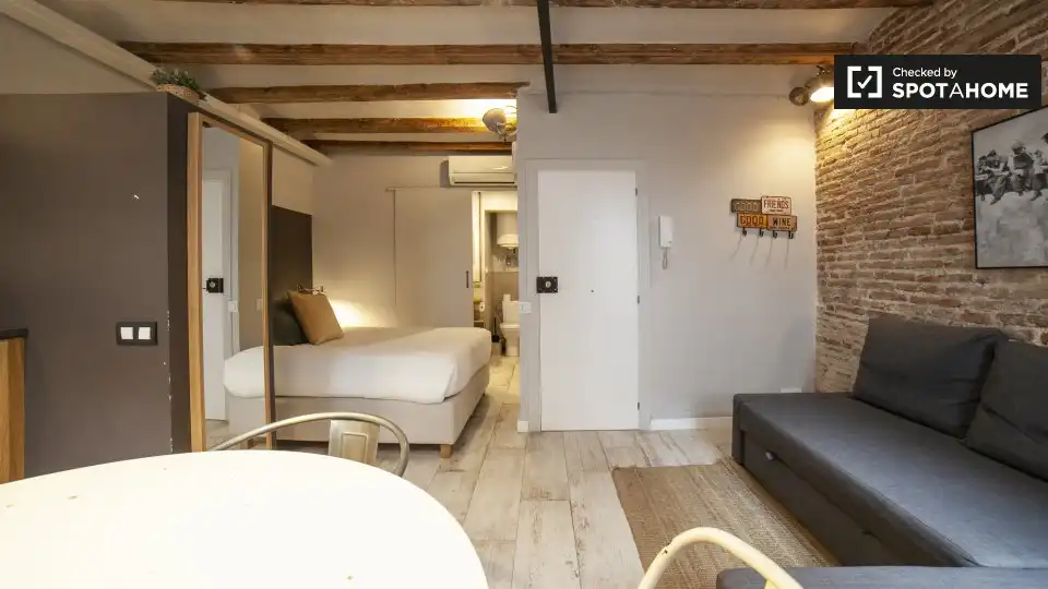 Appartamento con terrazza in affitto a Ciutat Vella, imagen 4