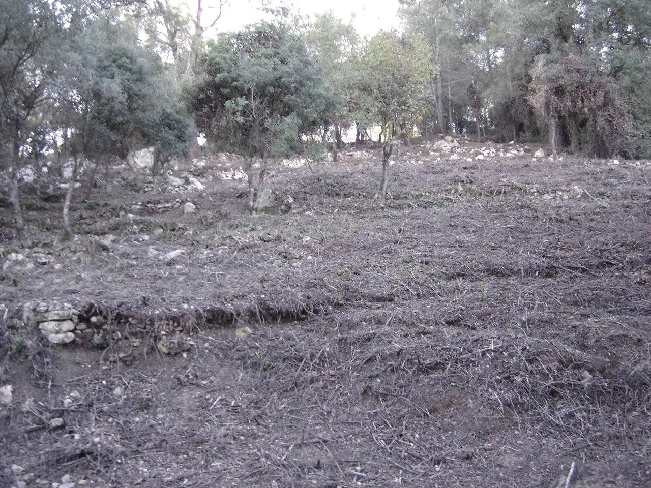 Terreny industrial en venda en Gelida