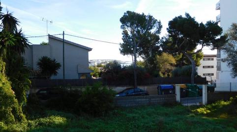 Photo 2 of Residential for sale in Palmanova, Illes Balears