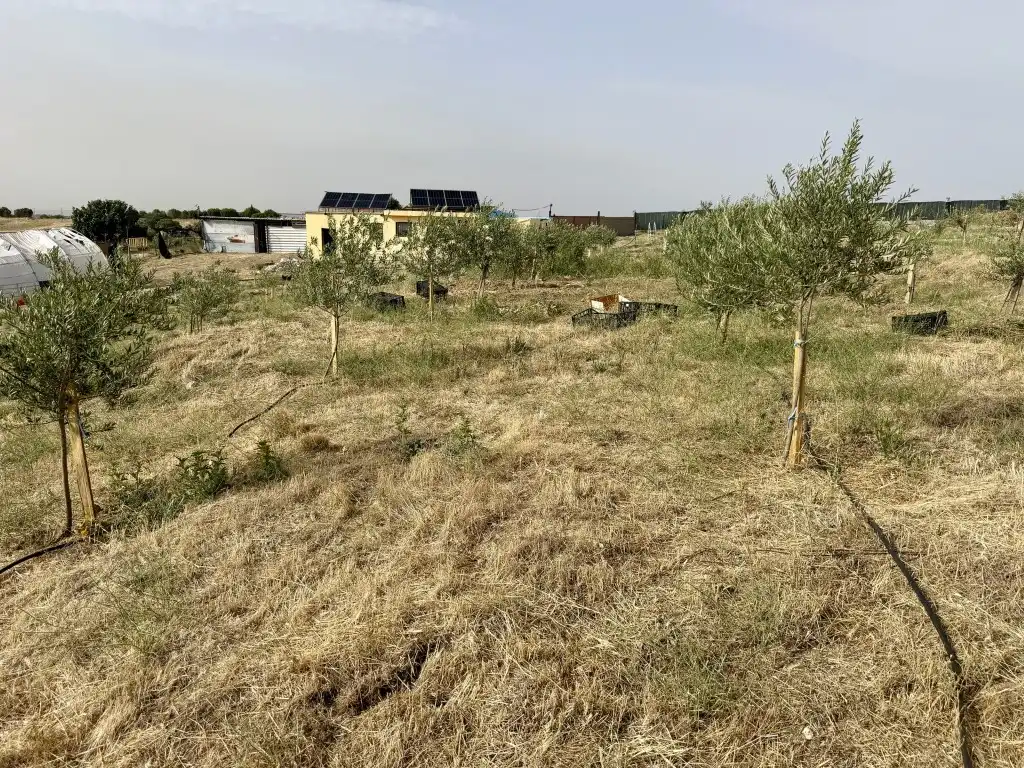 Country house zum Verkauf in Navalcarnero