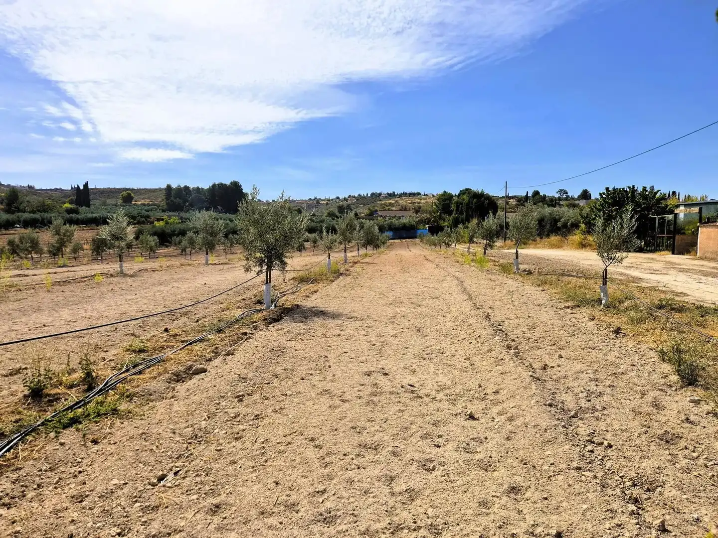 Wohnbaugrundstück zum Verkauf in Moraleda de Zafayona, imagen 2
