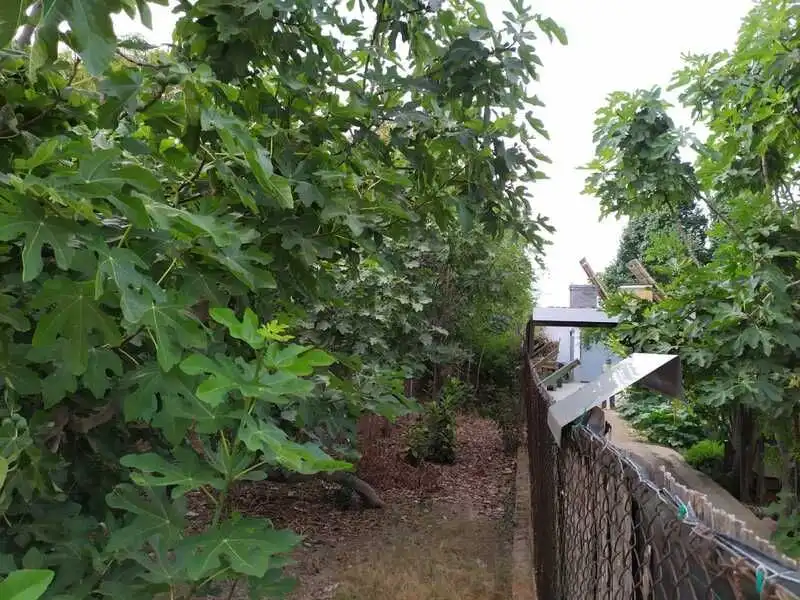 Lands and plots for sale in Carril Torre Ibañez 30, imagen 7