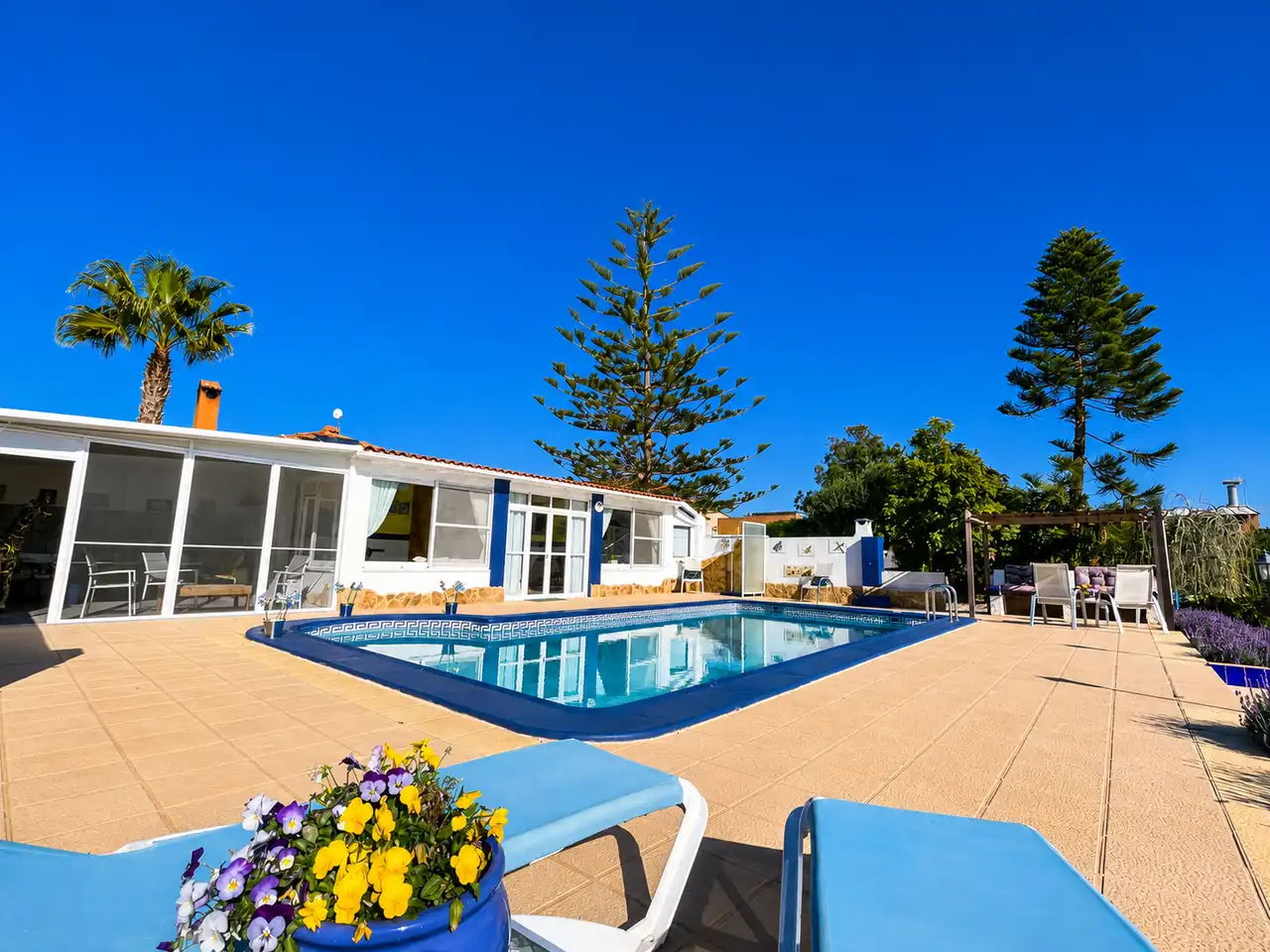 Swimming pool of Houses for sale in Torre-Pacheco