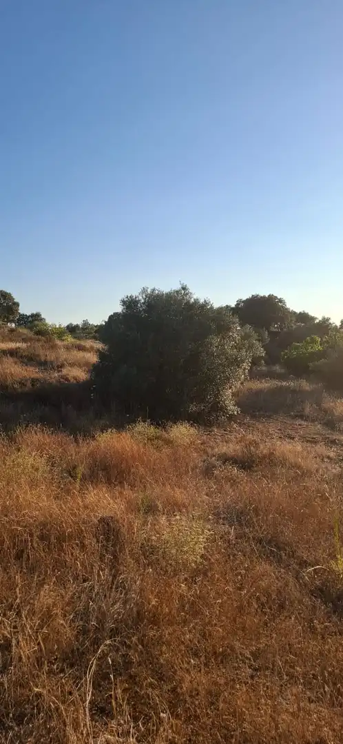 Country homes for sale in Brozas  with Private garden and Furnished