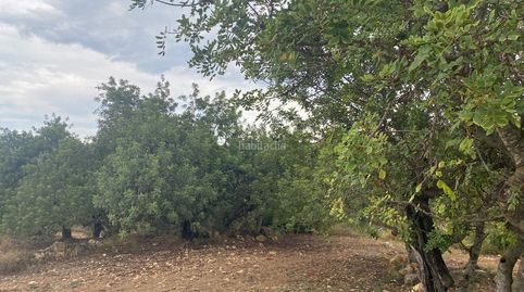 Finca rústica cercana a les useres, immagine 5