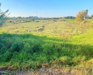 Land for sale in Massalfassar