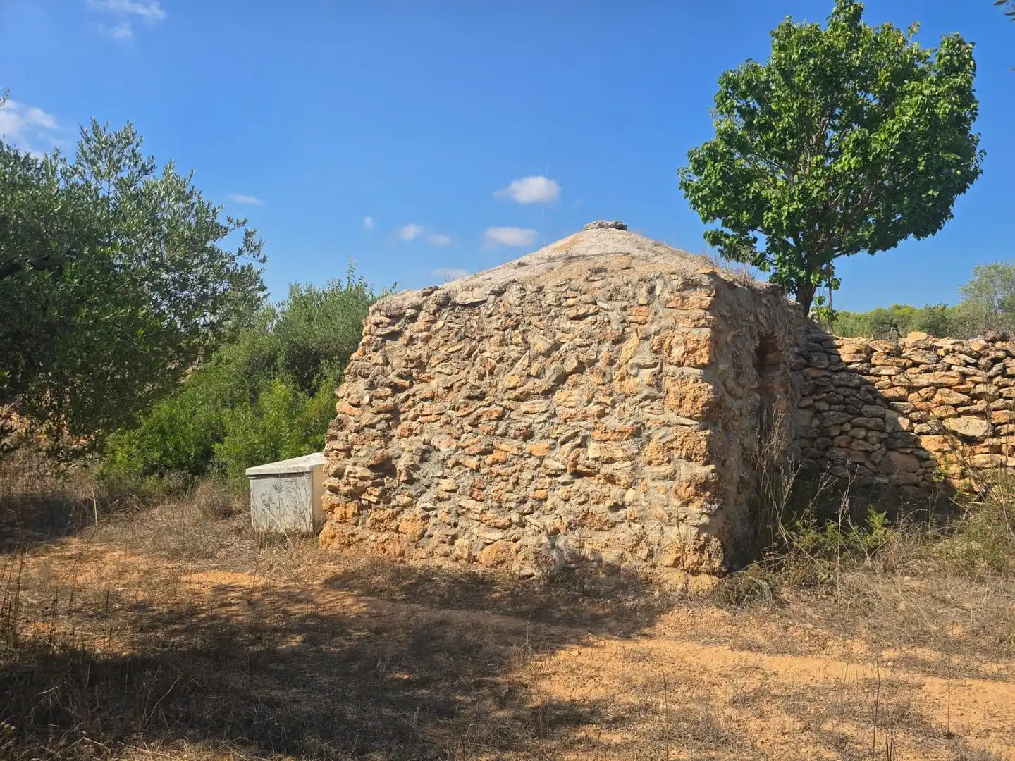 Terreno rústico en venta en Montferri, imagen 10