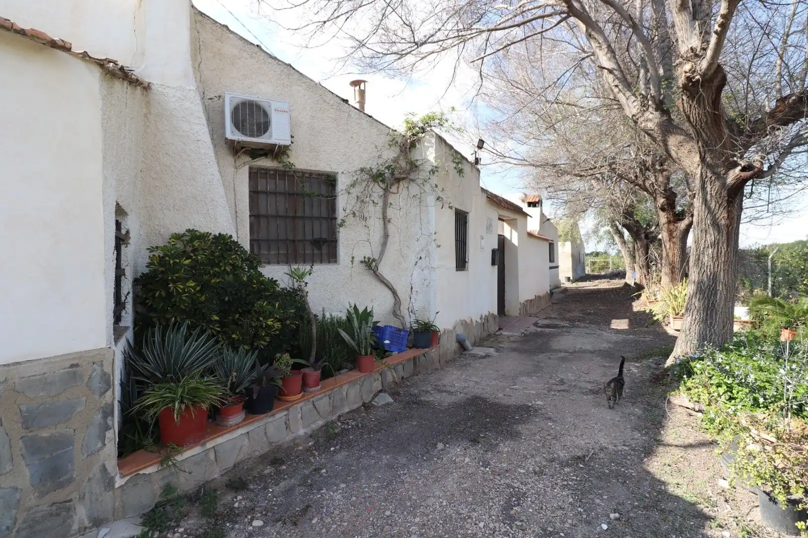 Xalet amb jardí en venda a Almoradí, imagen 40