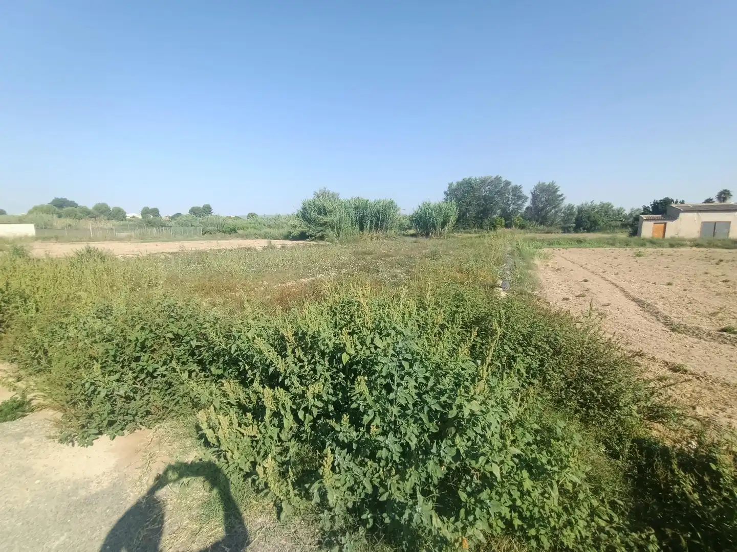 Grundstücke und Bauplätze zum Verkauf in Lorquí, imagen 4