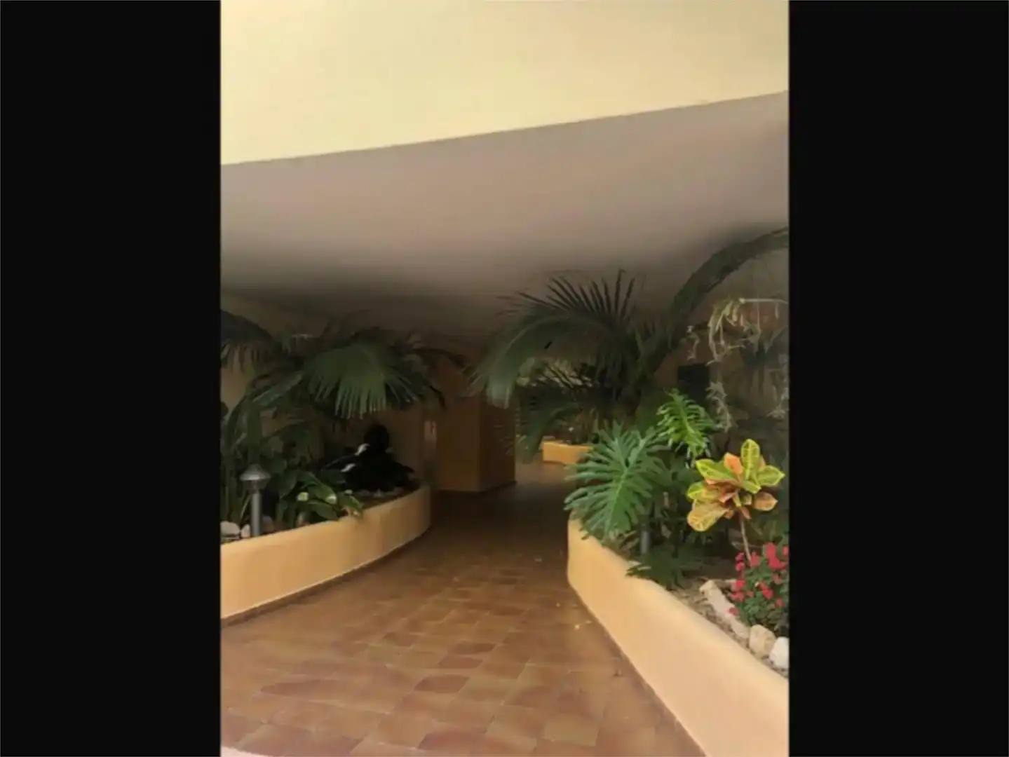 Apartament de lloguer en Los Cristianos