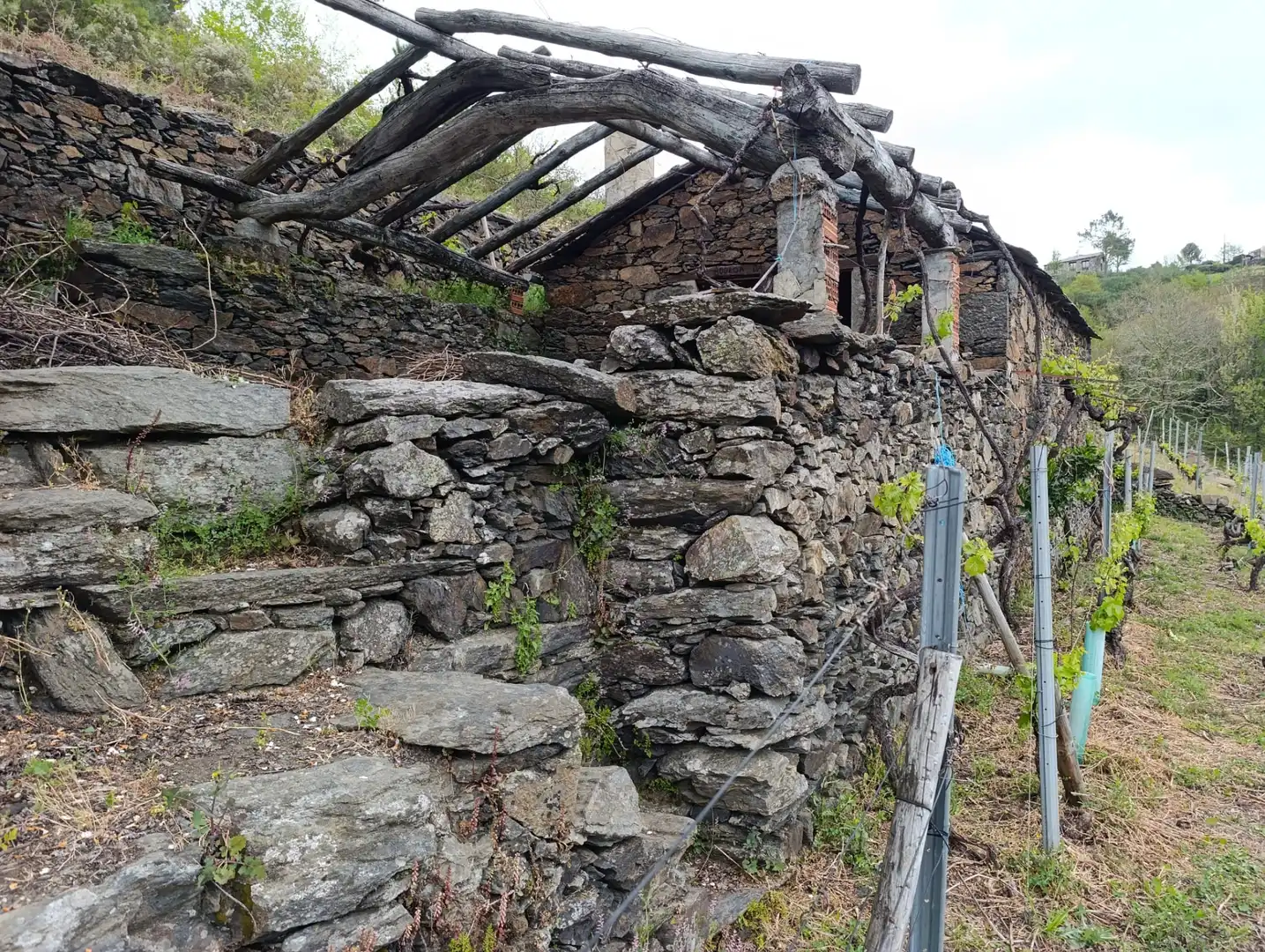 Casa rústica amb jardí en venda a O Saviñao, imagen 6