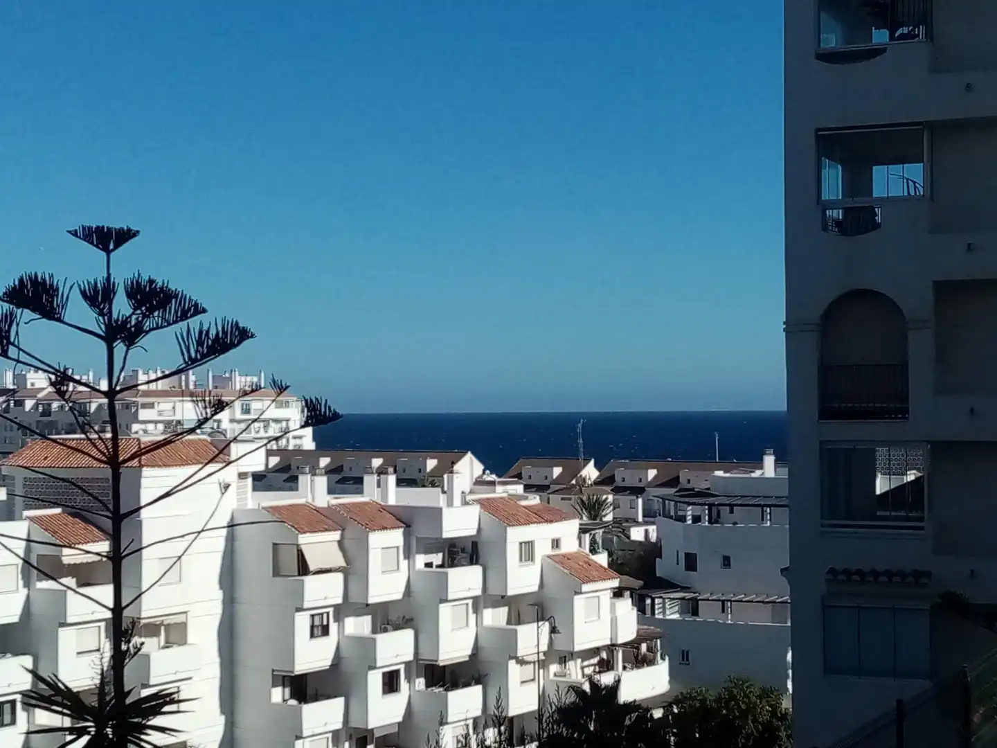 Exterior view of Flat for rent in Estepona Pueblo