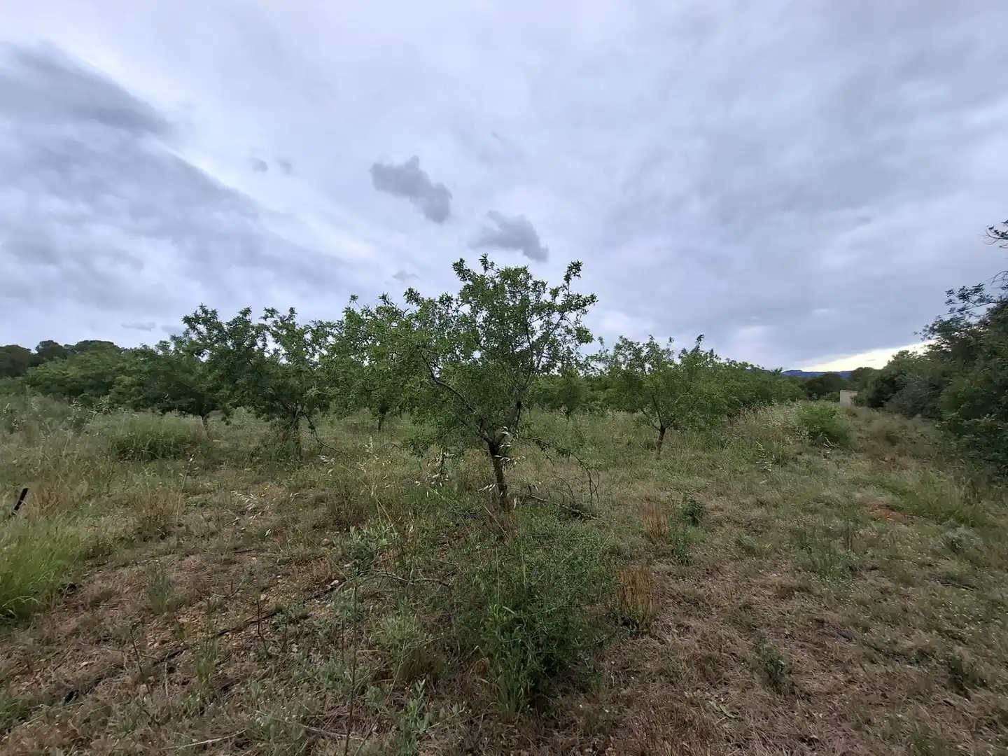 Land for sale in Mont-roig del Camp