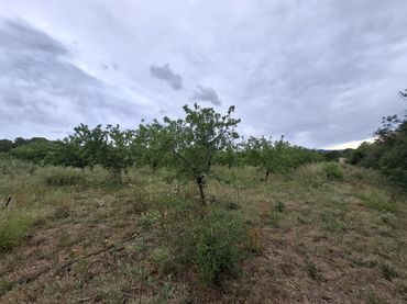Rustikales Grundstück zum Verkauf in Poble