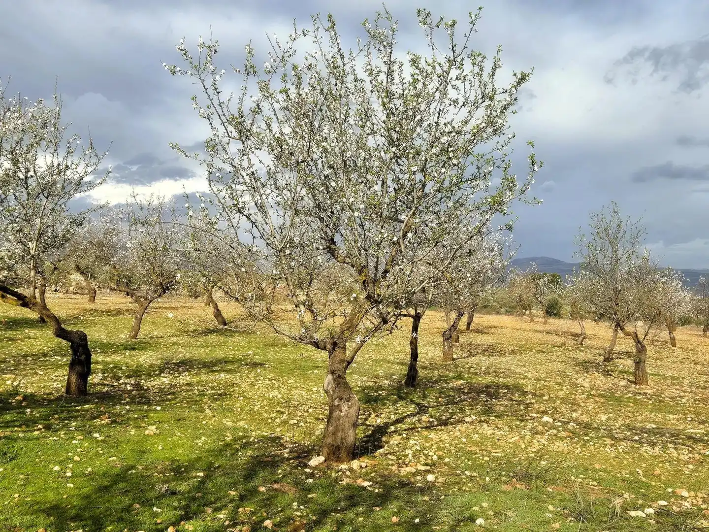 Terreno residencial en venta en Salar, imagen 14