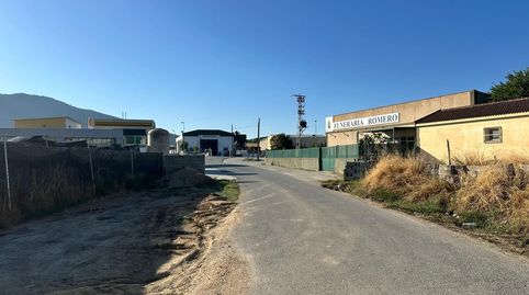 FINCA RÚSTICA AGRARIA EN MOCLÍN, GRANADA., immagine 5