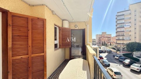 Photo 4 of Apartments for rent in Los Europeos, Torrevieja