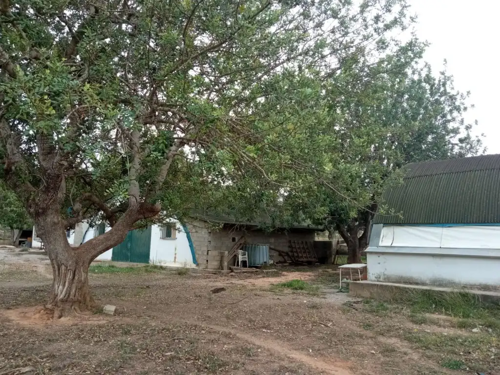 Residencial en venta en Llíria, Santa Bárbara