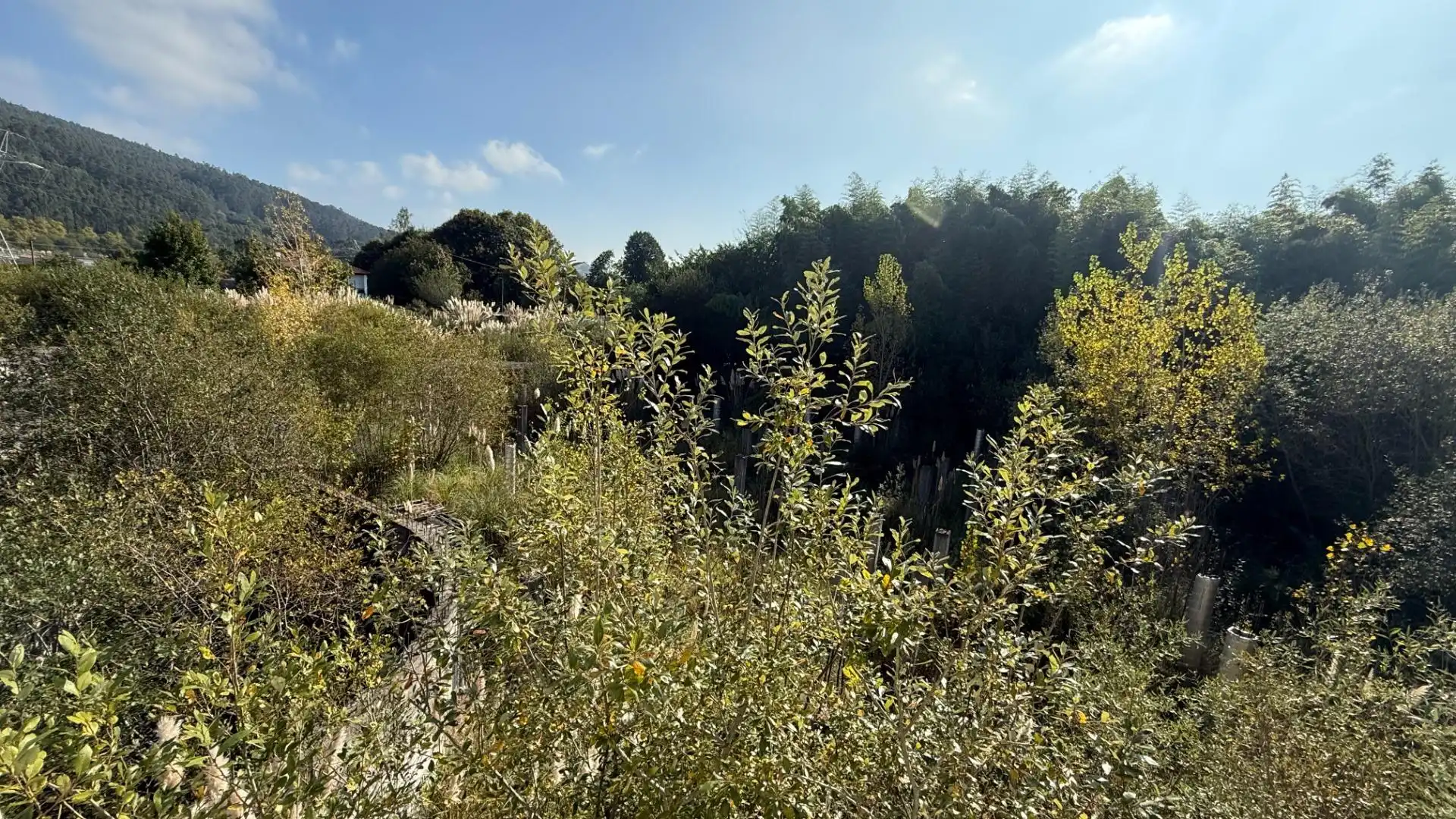 Gebäude zum Verkauf in Castañeda