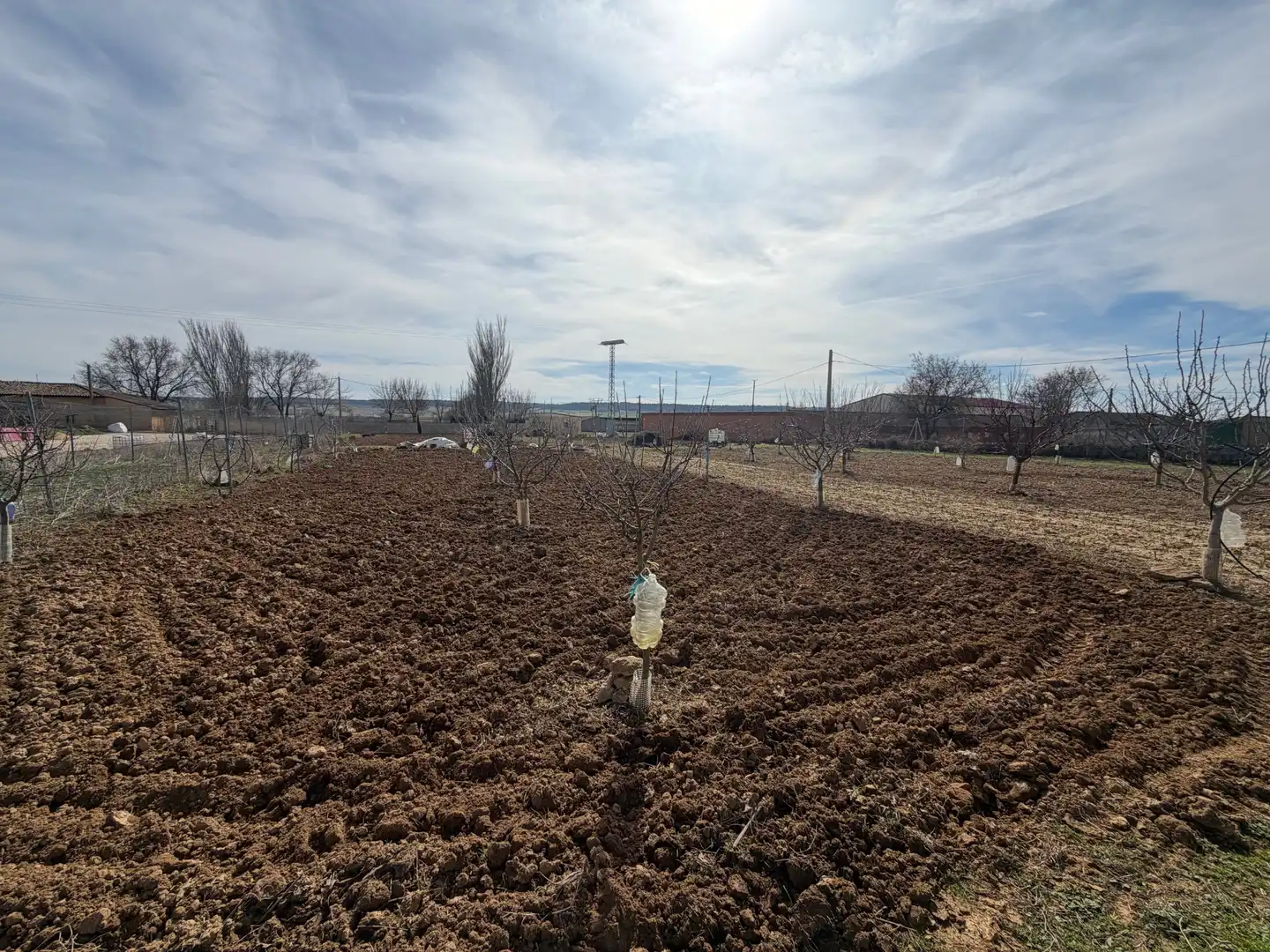 Terreno en venta en Tordehumos