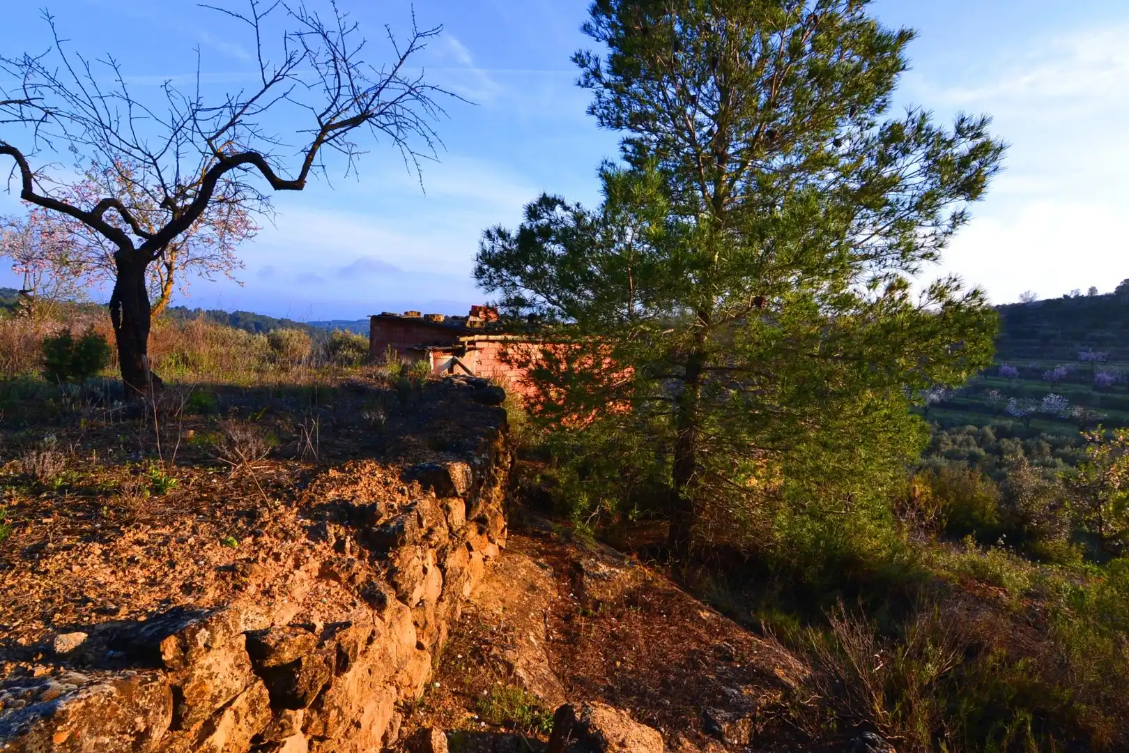 Rural land for sale in Corbera d'Ebre, imagen 59