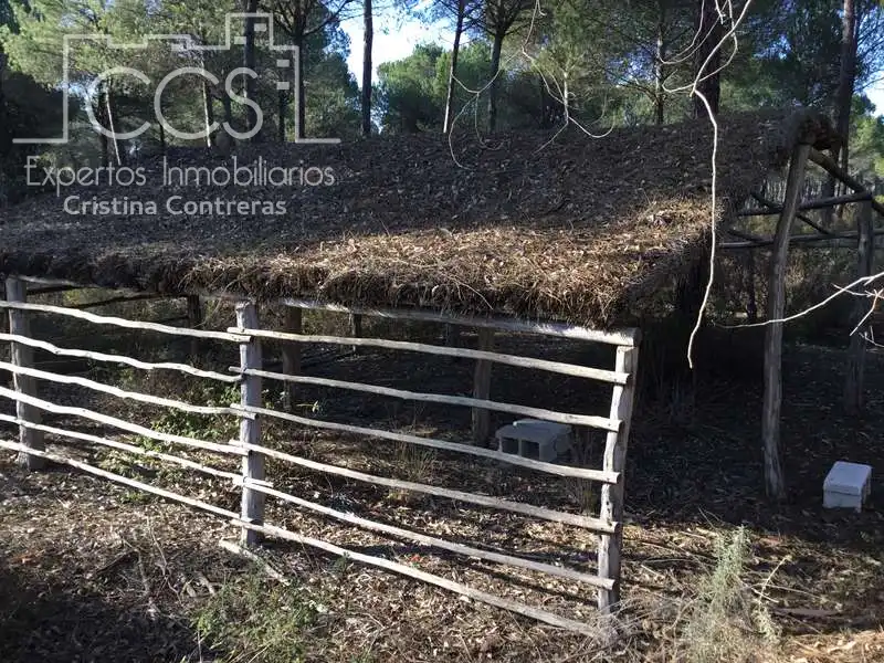 Terreni e lotti in vendita a Almonte ciudad, imagen 3