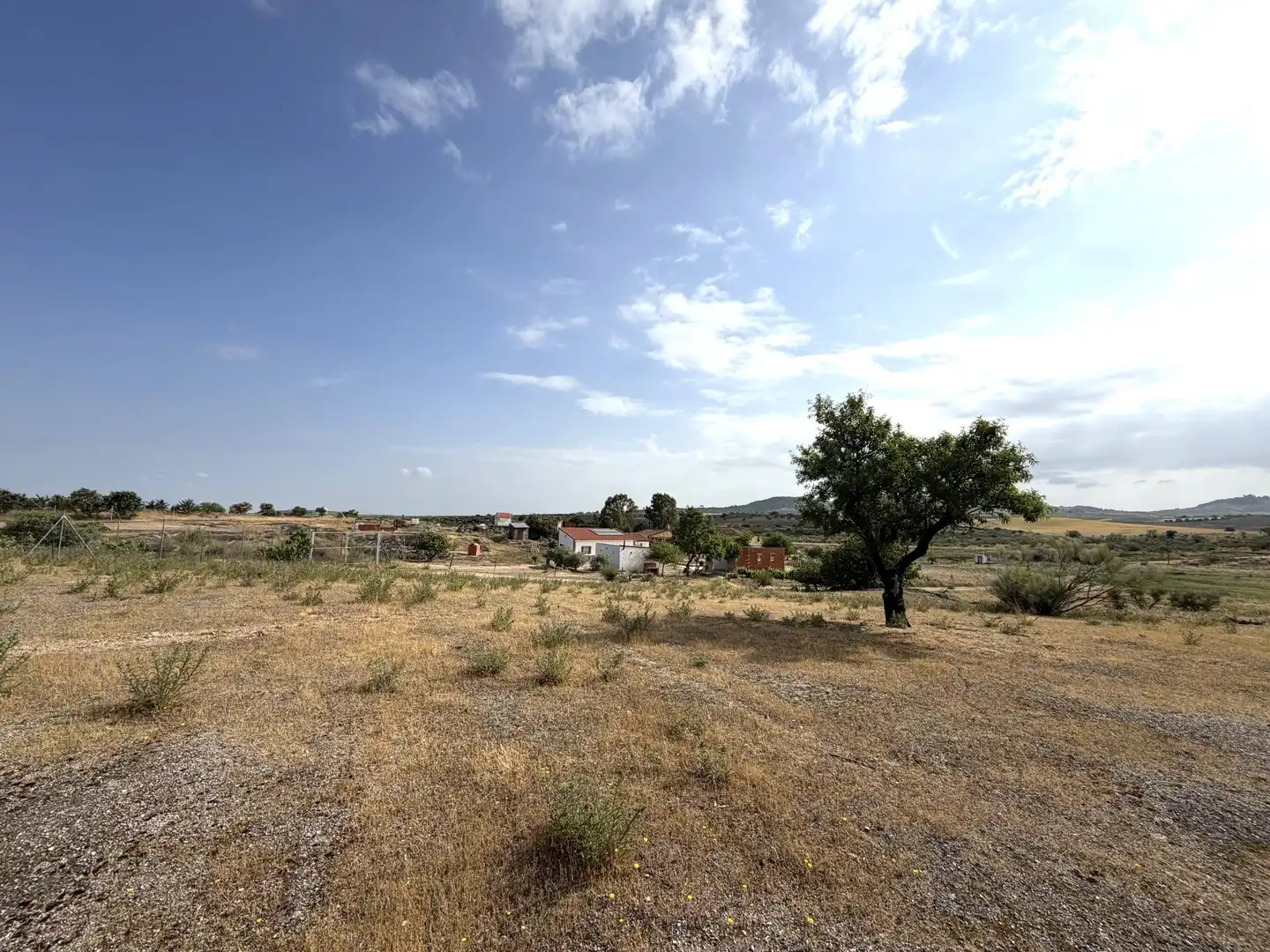 Terrain rustique à vendre à La Haba, imagen 42
