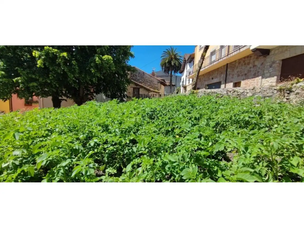 House for sale in Calle Alles, imagen 12