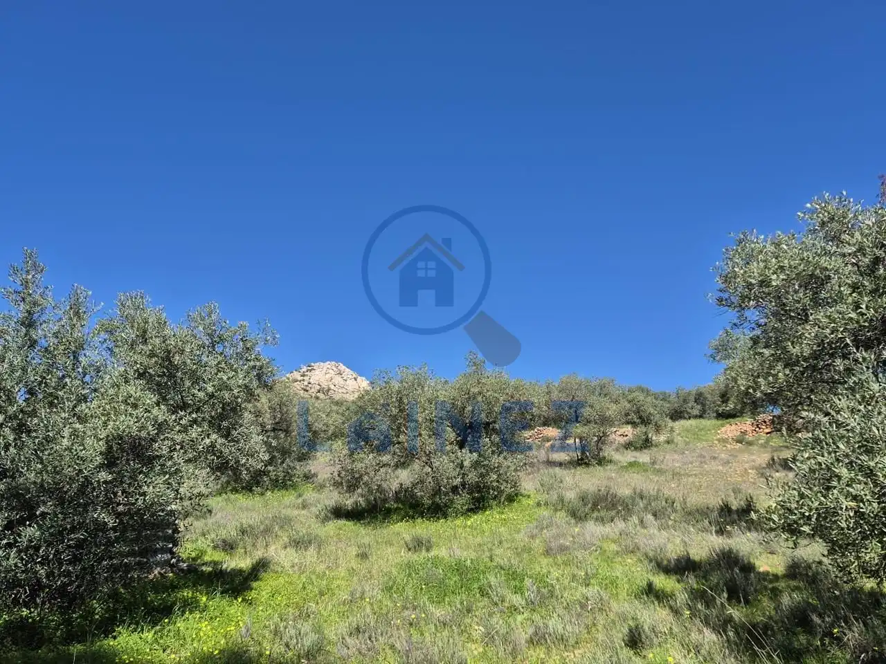 Grundstücke zum Verkauf in Peñarroya-Pueblonuevo