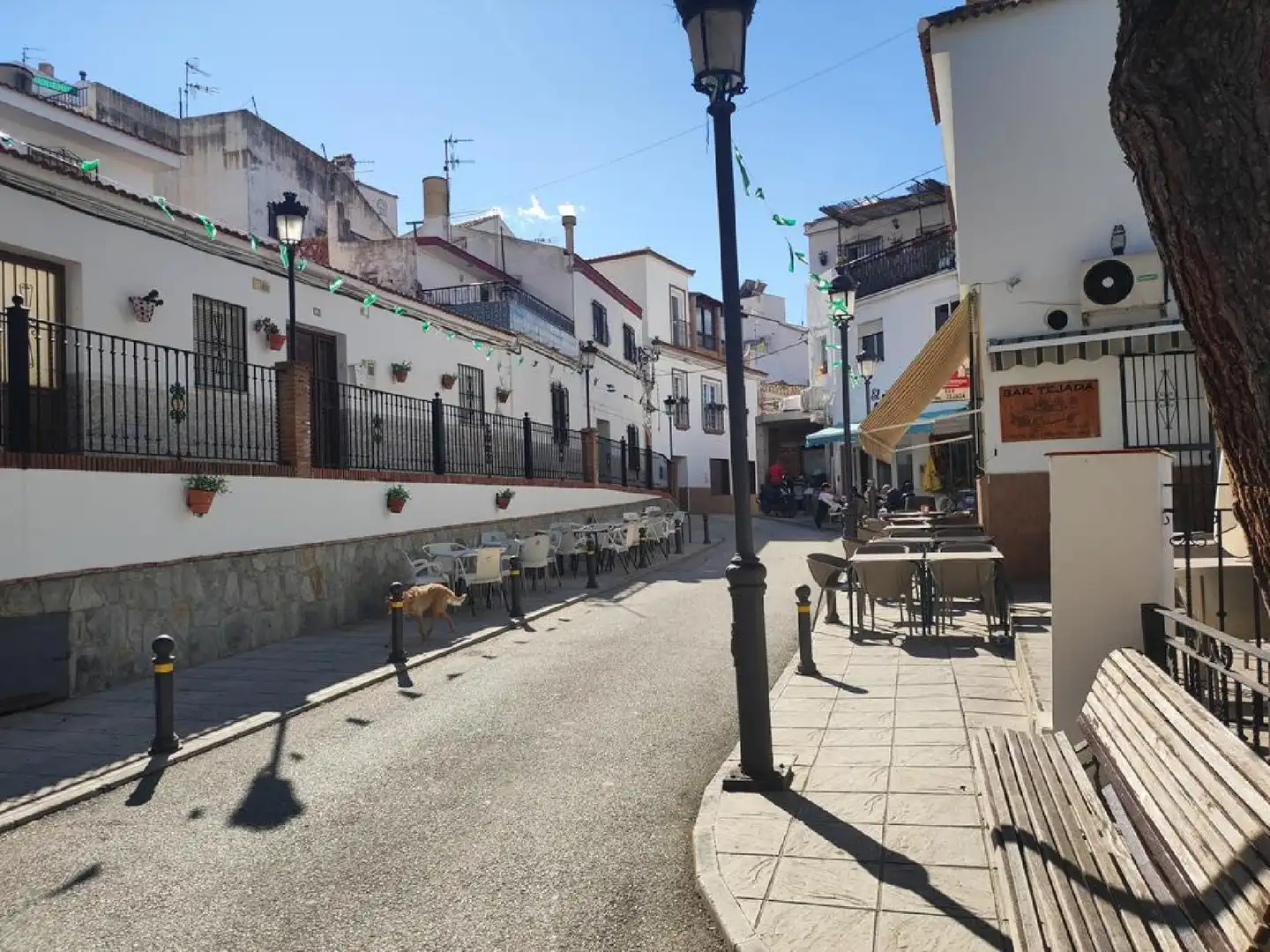 Vista exterior de Casa o xalet en venda en Iznate amb Jardí privat, Terrassa i Traster