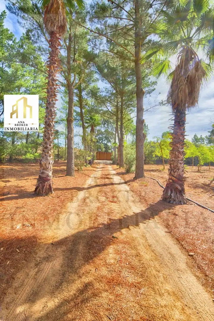 Casa o chalet en venta en Arriate