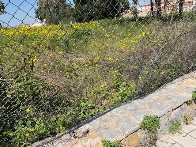Terreni e lotti in vendita a Carretera Madrid-Cartagena 2, imagen 18