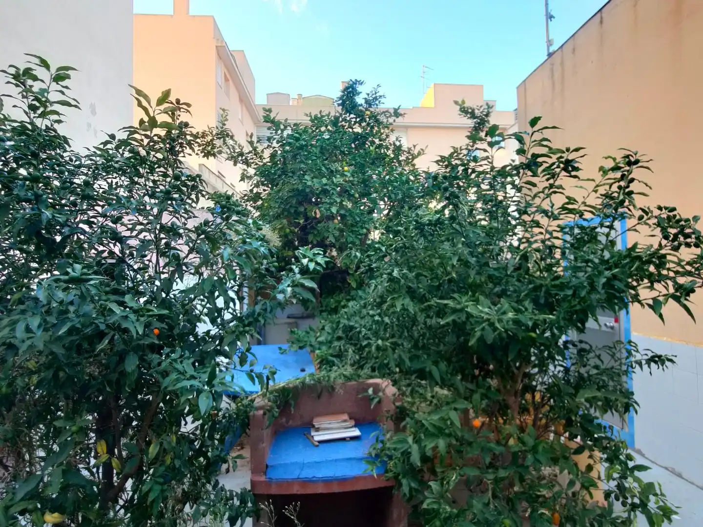Jardín de Residencial en venta en  Palma de Mallorca