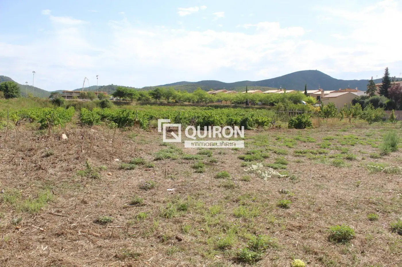 Terreno rustico in vendita a El Montmell, imagen 4