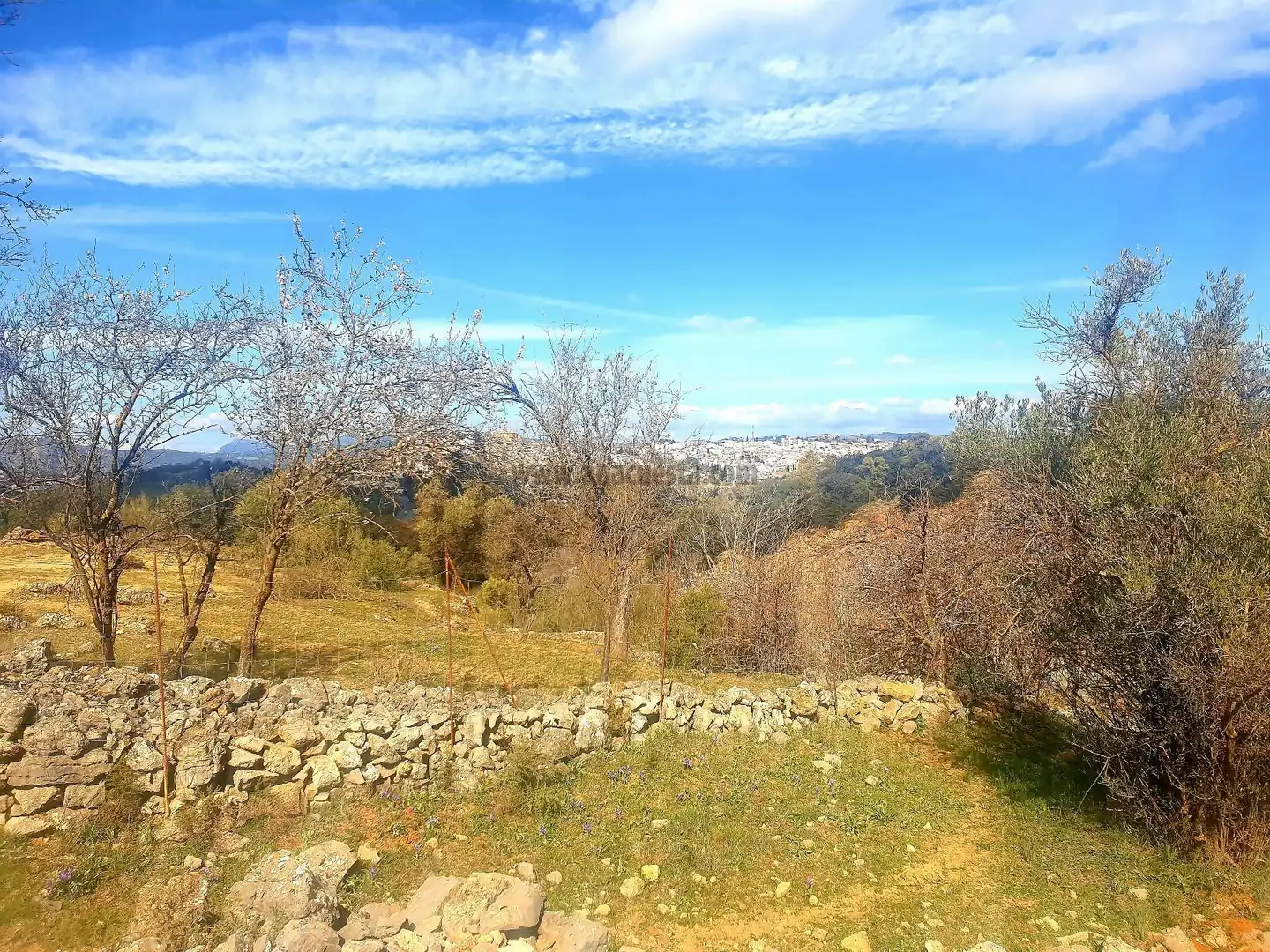 Terrenys i solars en venda a La Planilla, Cra. A-6300, imagen 16