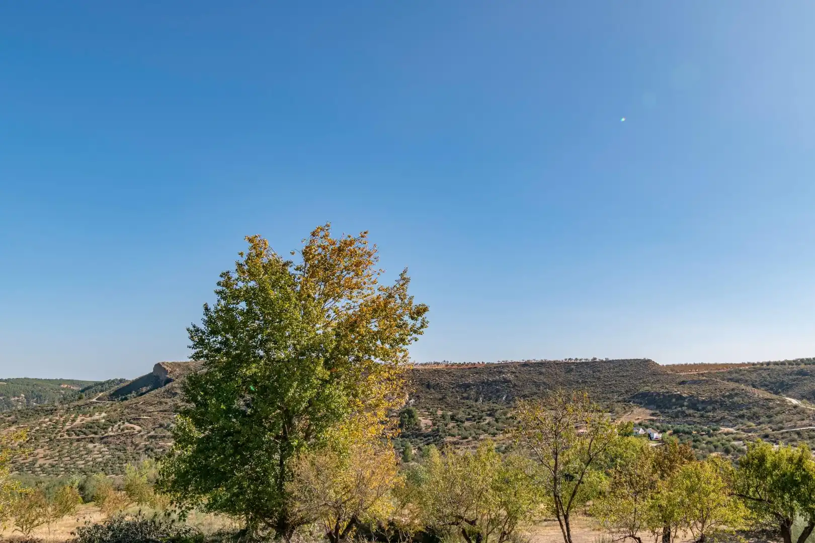 Finca rústica en venta en Vereda morollon, La Peza