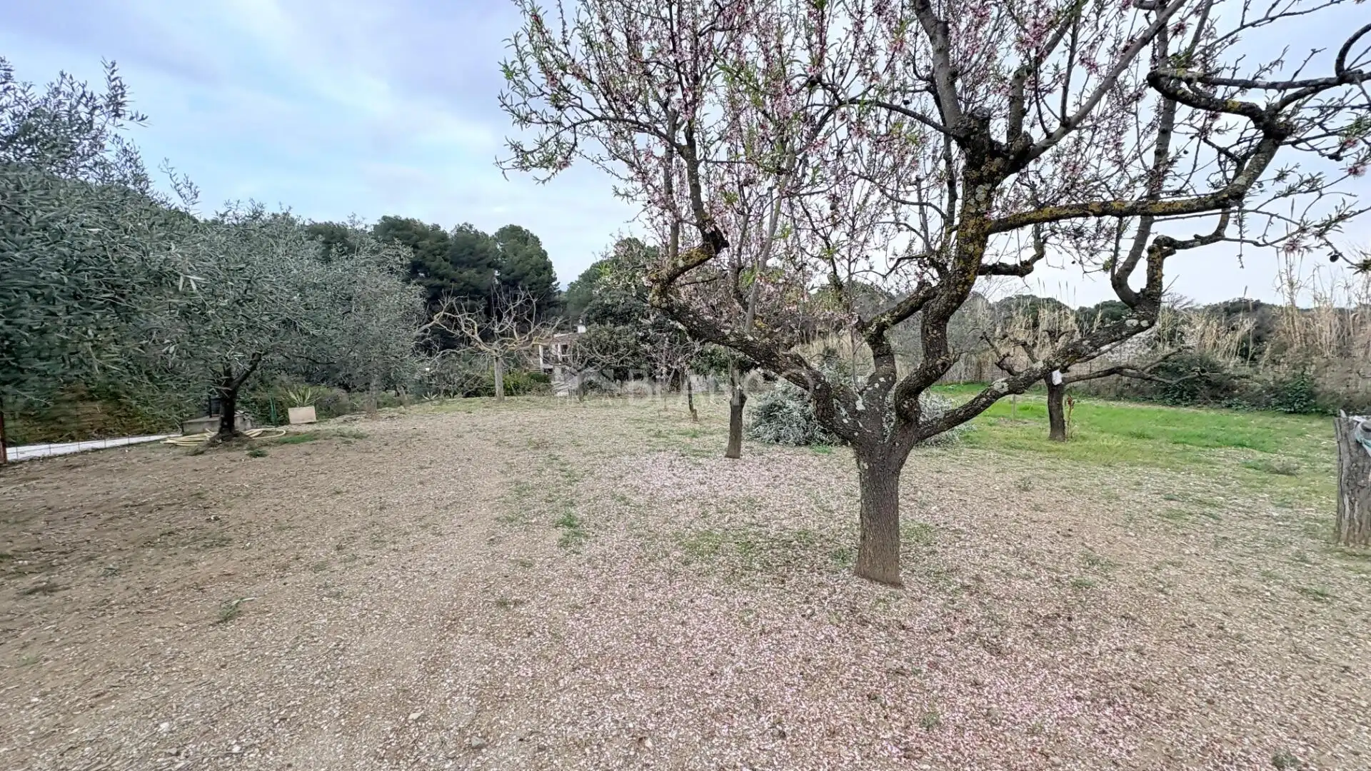 Casa o chalet en venta en Els Hostalets de Pierola