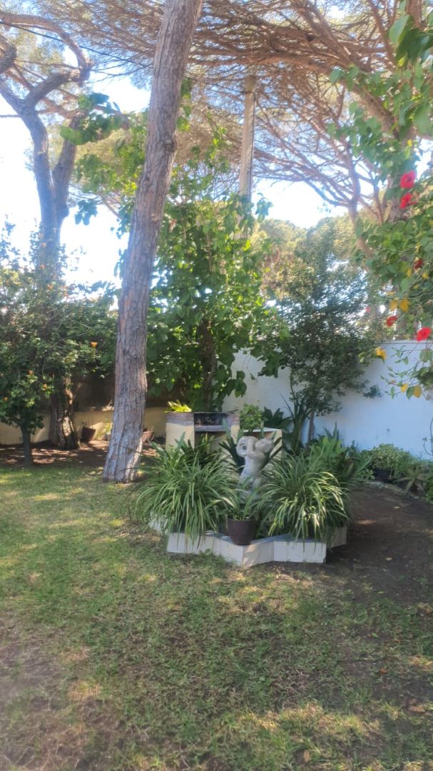Casa o xalet de lloguer a Calle de la Rana Verde, 42, Las Lagunas - Campano