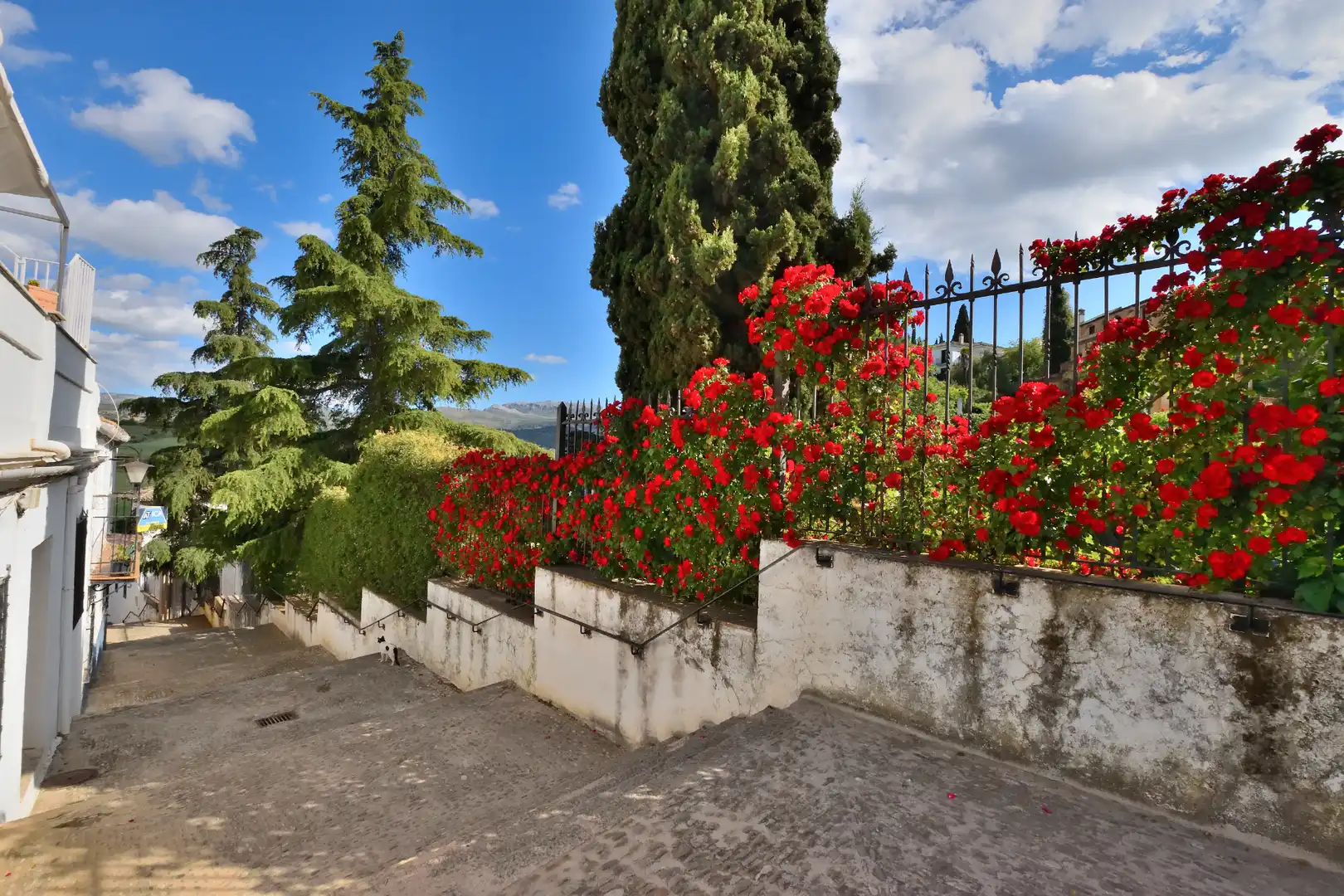 Jardín de Casa adosada en venta en Ronda con Terraza y Balcón