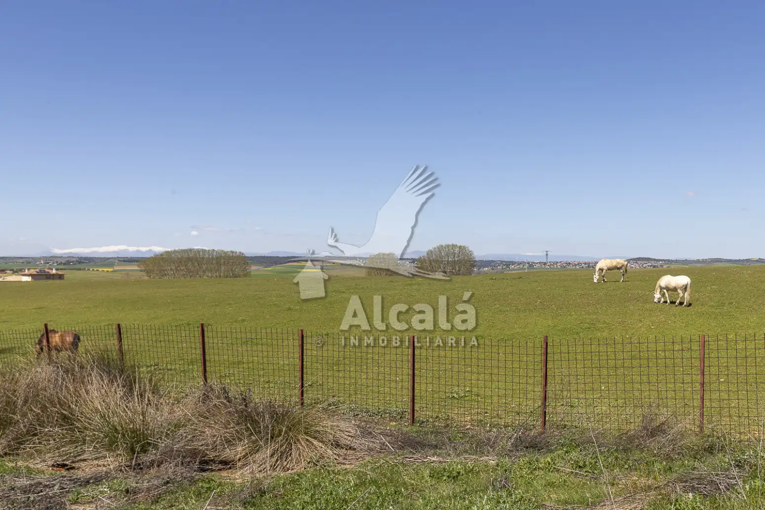 Terreno en venta en Torrejón del Rey