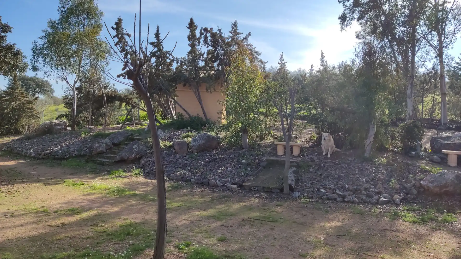 Xalet en venda a Villalba de los Barros, imagen 20