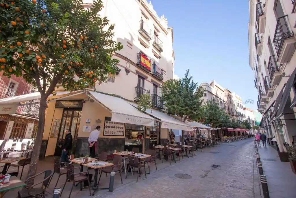 Wohnung mit Pool zur Miete in Casco Antiguo, imagen 7
