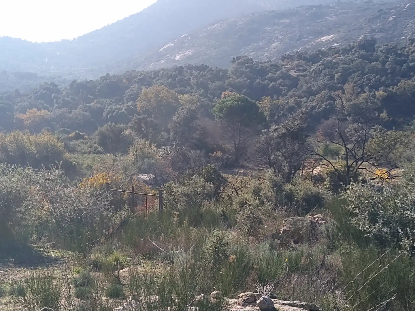 Rural land for sale in Cadalso de los Vidrios, imagen 3